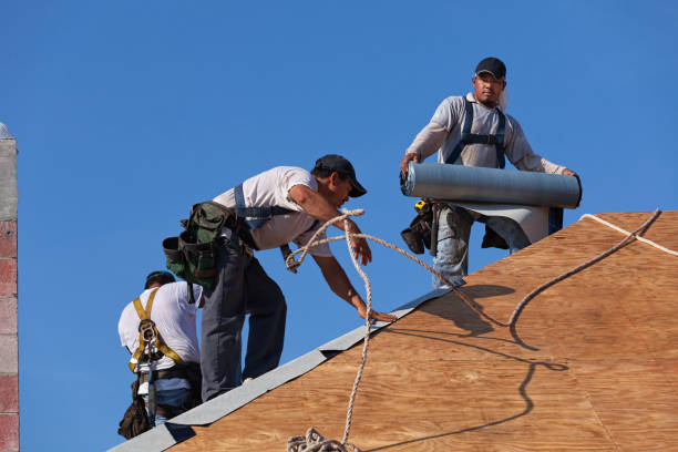 Best Flat Roof Repair Services  in Fall Creek, WI