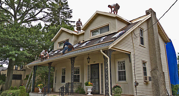 Best Shingle Roofing Installation  in Fall Creek, WI